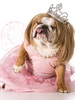 Dog in Dress_thumb