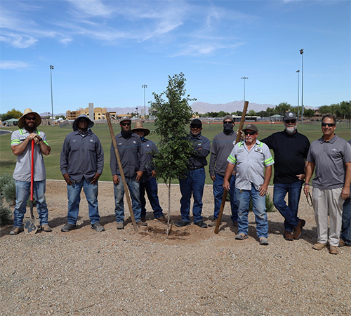 arbor day 2021 500 x 450