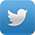 twitter-homepage