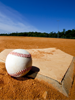 baseball-home-plate