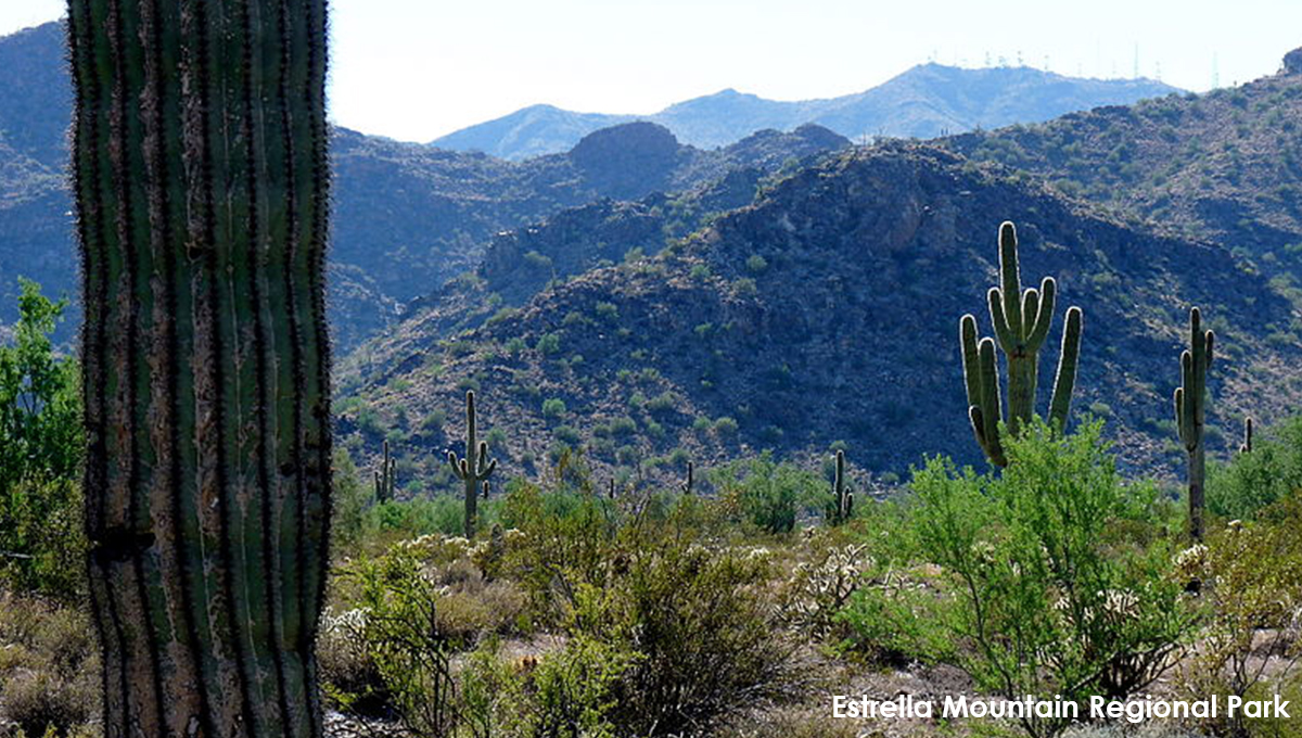 F_Estrella_Mountains